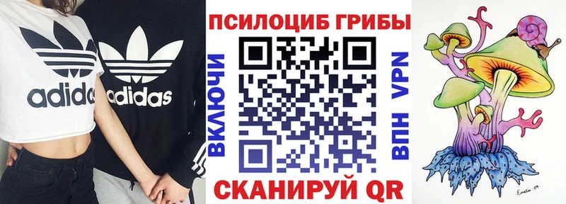 где купить наркоту  Черняховск  Галлюциногенные грибы GOLDEN TEACHER 